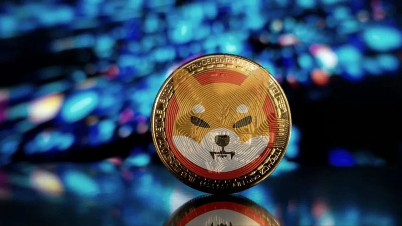 Unveiling Fascinating Facts About Shiba Inu Coin 8 facts about shiba inu