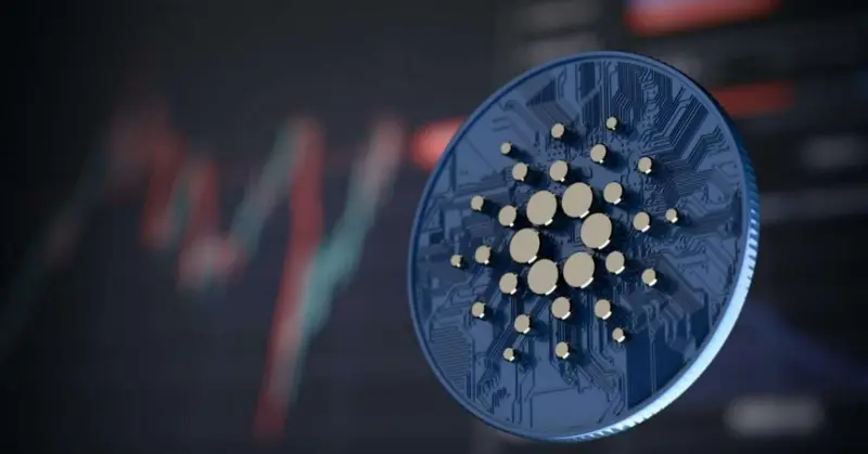 Exploring 19 Fascinating Facts About Cardano 6 5 3