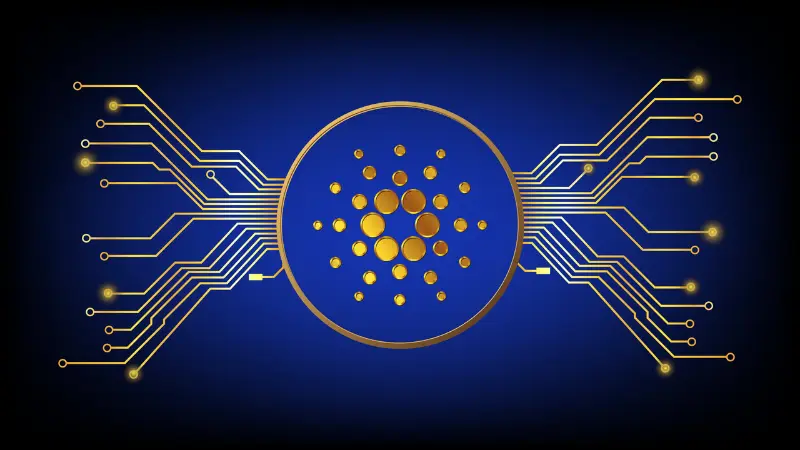 Exploring 19 Fascinating Facts About Cardano 8 7 2