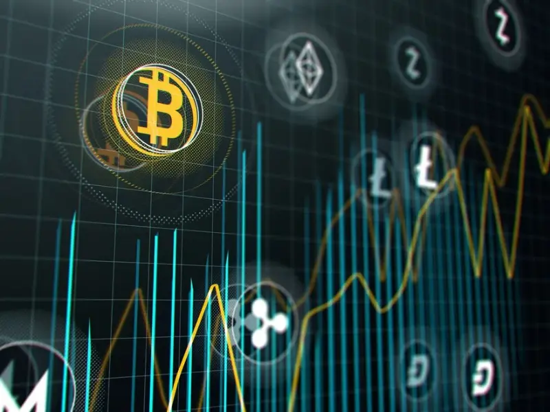 Beyond The Hype: Uncovering Vital Facts About Crypto 11 7 3