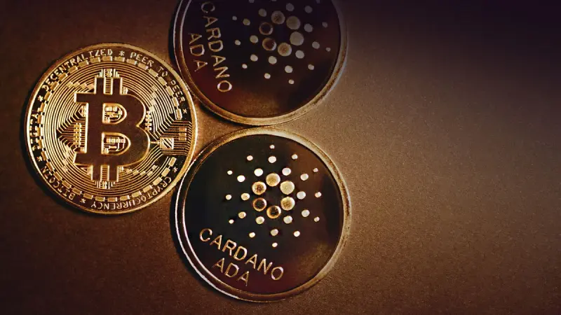 Exploring 19 Fascinating Facts About Cardano 9 8 1