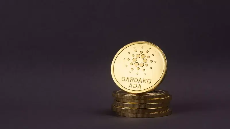 Exploring 19 Fascinating Facts About Cardano 10 9 2