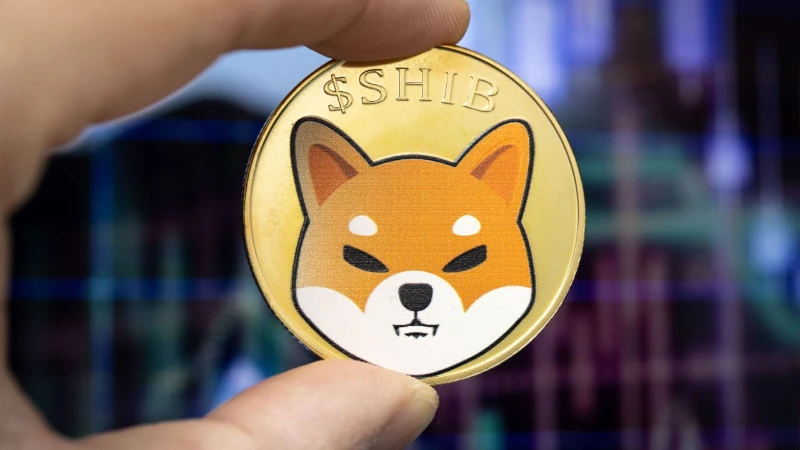 Unveiling Fascinating Facts About Shiba Inu Coin 2 facts about shiba inu