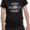 Avalanche T-Shirt Performance Rashguard Wicking Avalanche