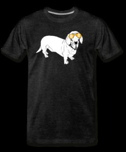 Bitcoin Is For The Dachshunds T-Shirt