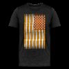 USA Bitcoin Flag T-Shirt