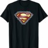 Wanchain T-shirt Superman Chained