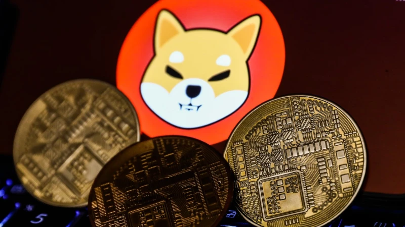 Unveiling Fascinating Facts About Shiba Inu Coin 7 facts about shiba inu