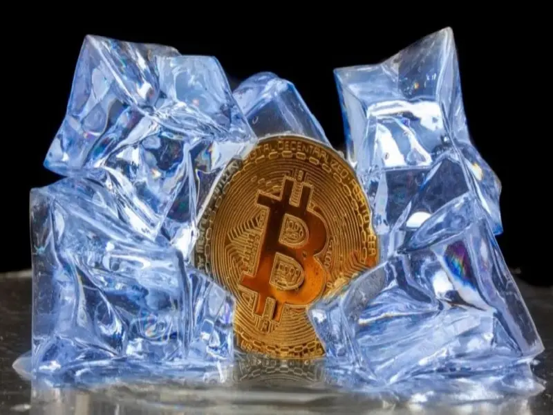 Facts About Bitcoin BTC: Understanding The Cryptocurrency Elite 11 facts about bitcoin btc