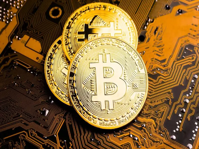 Facts About Bitcoin BTC: Understanding The Cryptocurrency Elite 12 facts about bitcoin btc