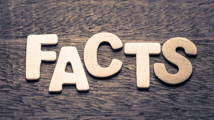 12 Fascinating Facts About Mobilian Coin MBN 2 mobilian coin