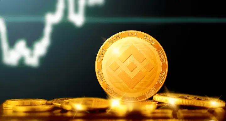 Exploring Facts About Binance Coin BNB You Should Know 3 Binance Coin