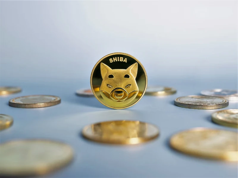 Unveiling Fascinating Facts About Shiba Inu Coin 5 facts about shiba inu