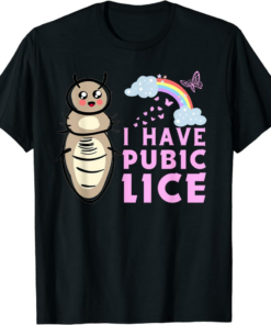 I Have A Meme T-Shirt Offensive Inappropriate Meme Funny