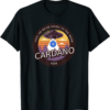ADA Coin T-Shirt Cardano Crypto HODL On Moon UFO Currency