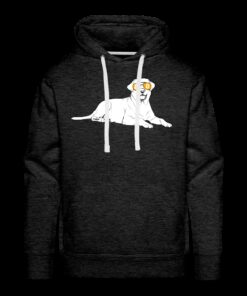 Bitcoin Is For The Labrador Retrievers Hoodie Sweatshirt