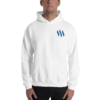 Steem Merch – Men’s Embroidered Hoodie