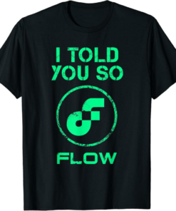 Flow T-Shirt I Told You So HODL Coin In A Crypto BULLRUN