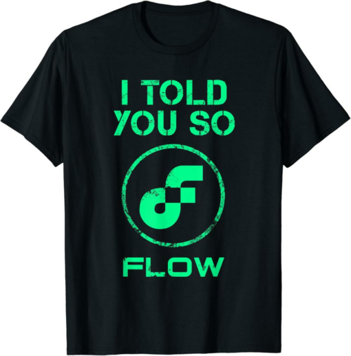 Flow T-Shirt I Told You So HODL Coin In A Crypto BULLRUN