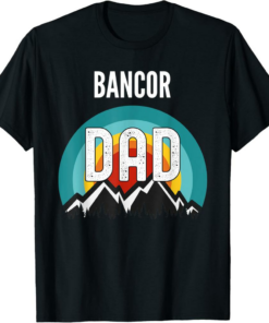 Bancor T-Shirt Dad Crypto Gift For Fathers Day