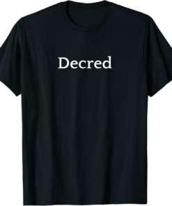 Decred T-Shirt Logo Icon Cryptocurrency apparel Crypto TRX