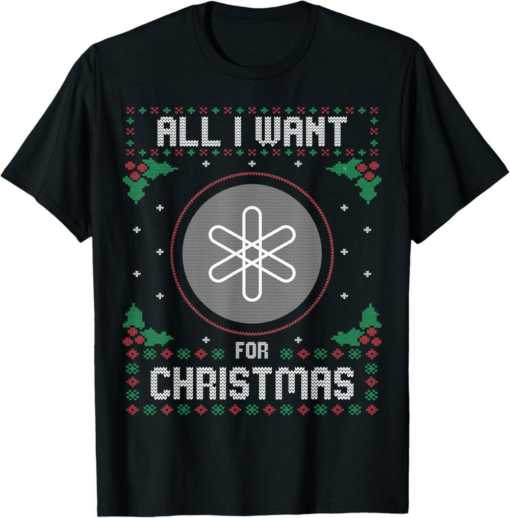 Dent T-Shirt Christmas Crypto Sweater All I Want For Xmas