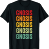 Gnosis T-Shirt Crypto Rainbow Text Design