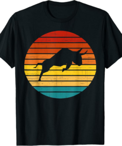Polymath T-Shirt Crypto Vintage Retro Sunset Design 60s 70s