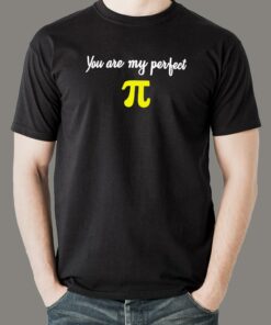 Perfect Pi T-Shirt – Math Love Declaration
